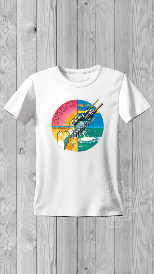 Remera PINK FLOYD WWH