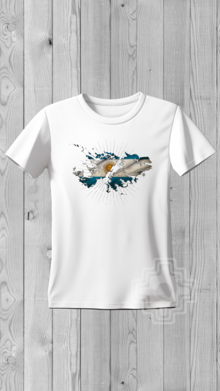 Remera MALVINAS