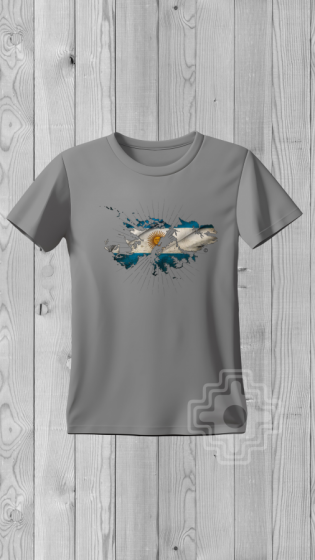 Remera MALVINAS