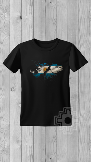 Remera MALVINAS